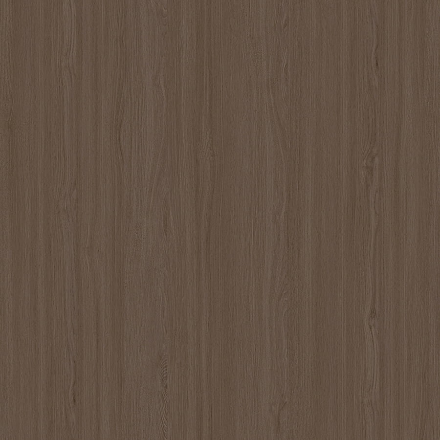E11013 Splendid Elm